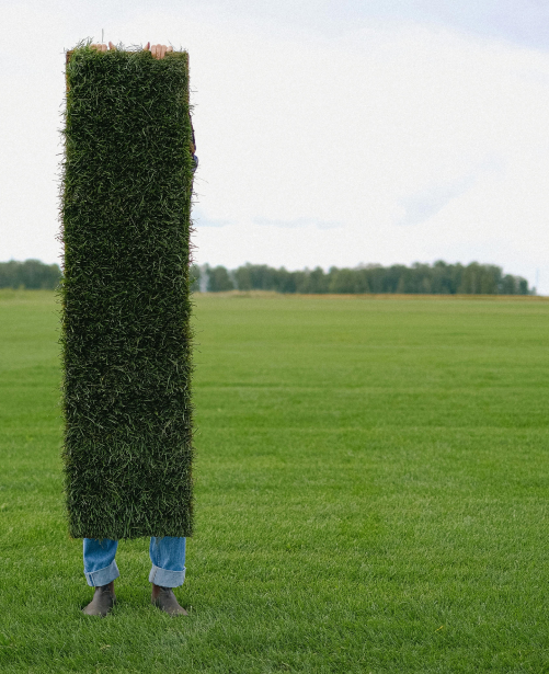Osoba drži travni busen
